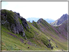 foto Forcella Pala del Becco